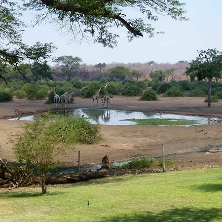 Elephant Valley Lodge カサネ エクステリア 写真
