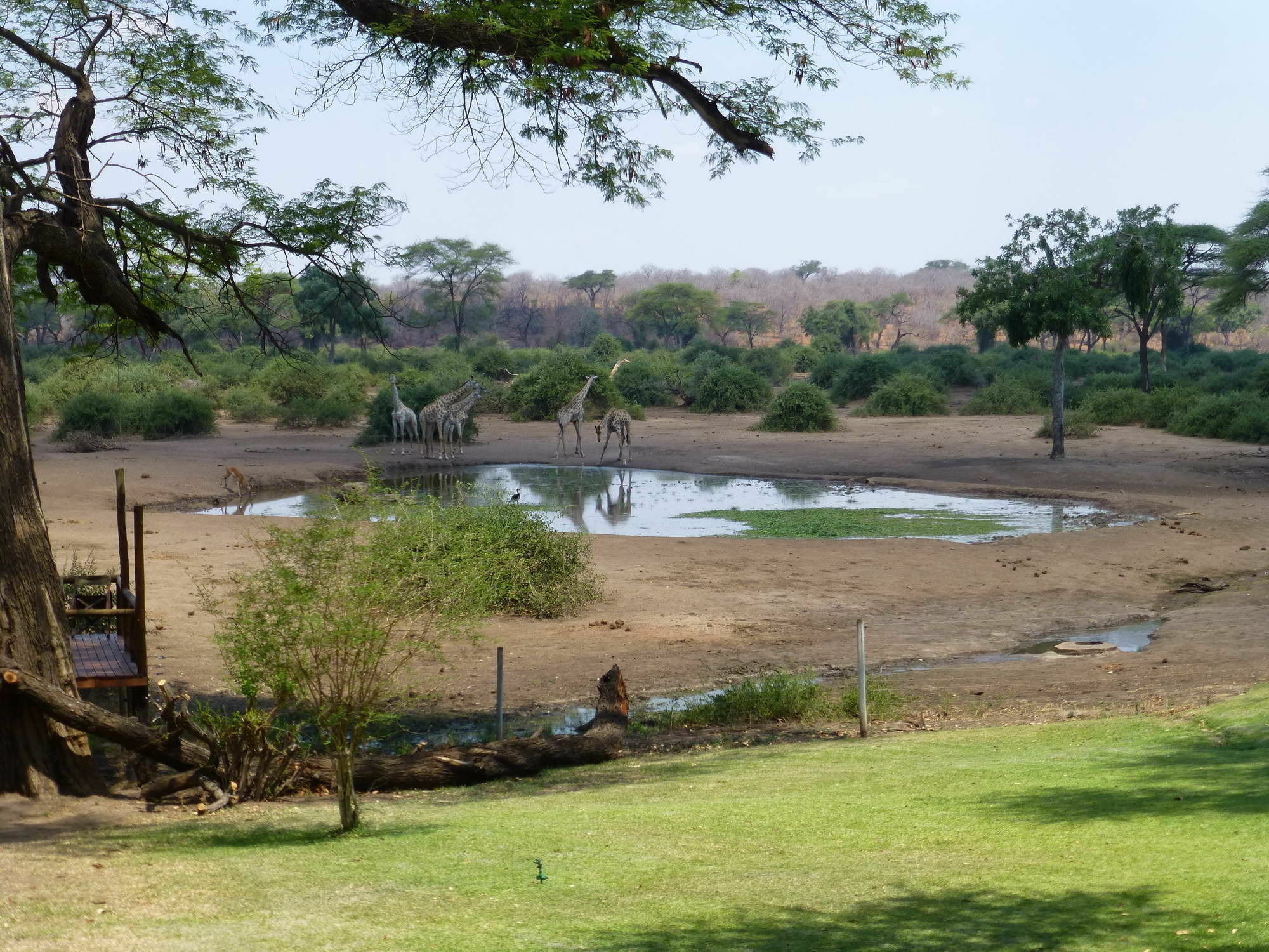 Elephant Valley Lodge カサネ エクステリア 写真